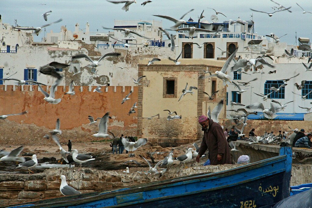 Tour de 10 días desde Casablanca al desierto y Marrakech