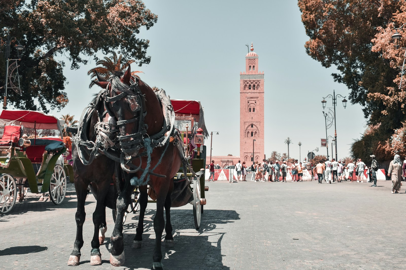 Excursión de 5 Días desde Tánger a Chefchaouen, Fez, Meknés, Rabat y Marrakech